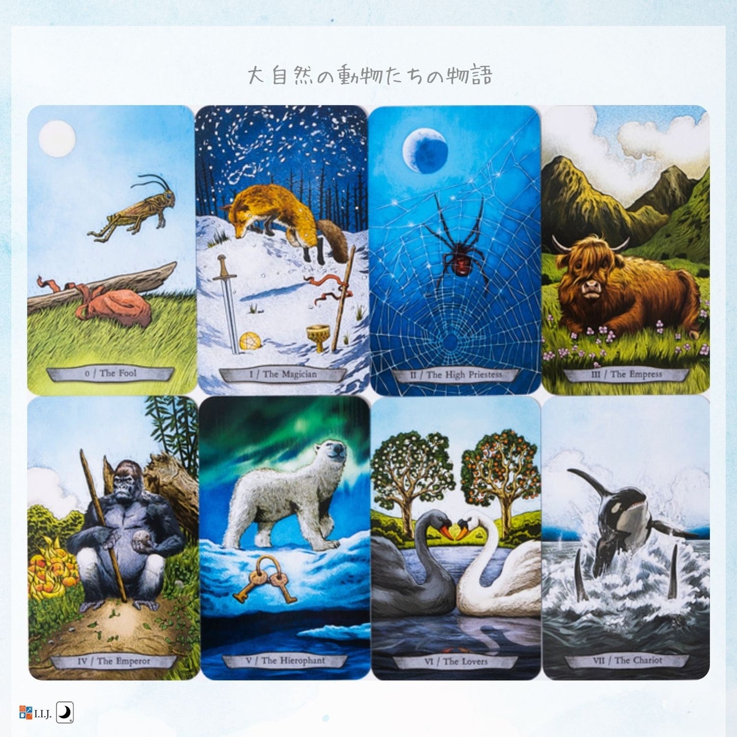 アニマル トーテム タロット Animal Totem Tarot
