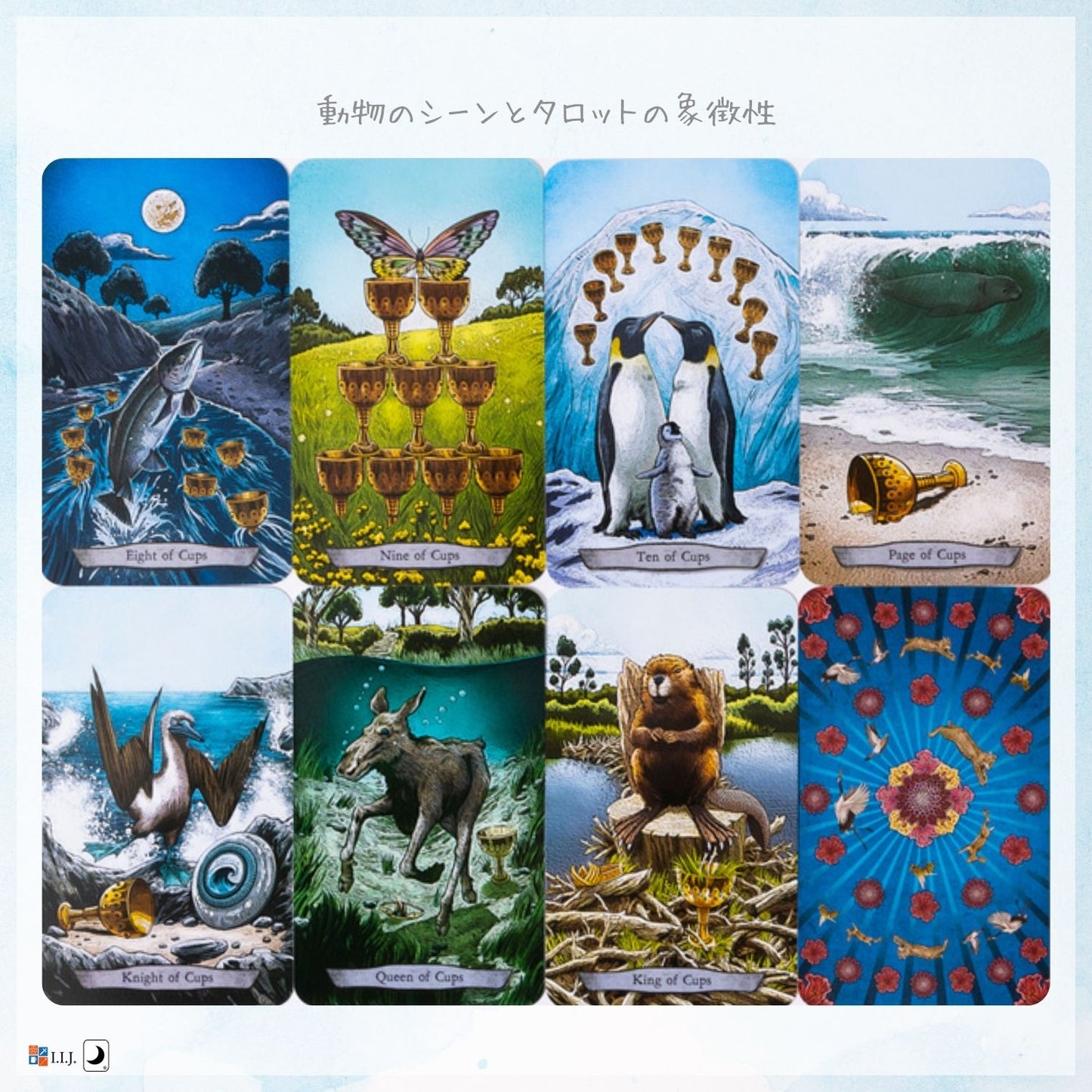 アニマル トーテム タロット Animal Totem Tarot