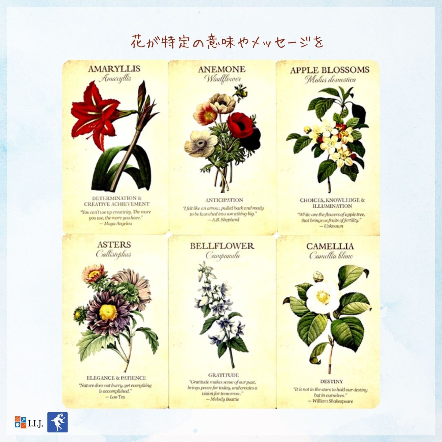 ボタニカル・インスピレーション・オラクルカード Botanical Inspirations