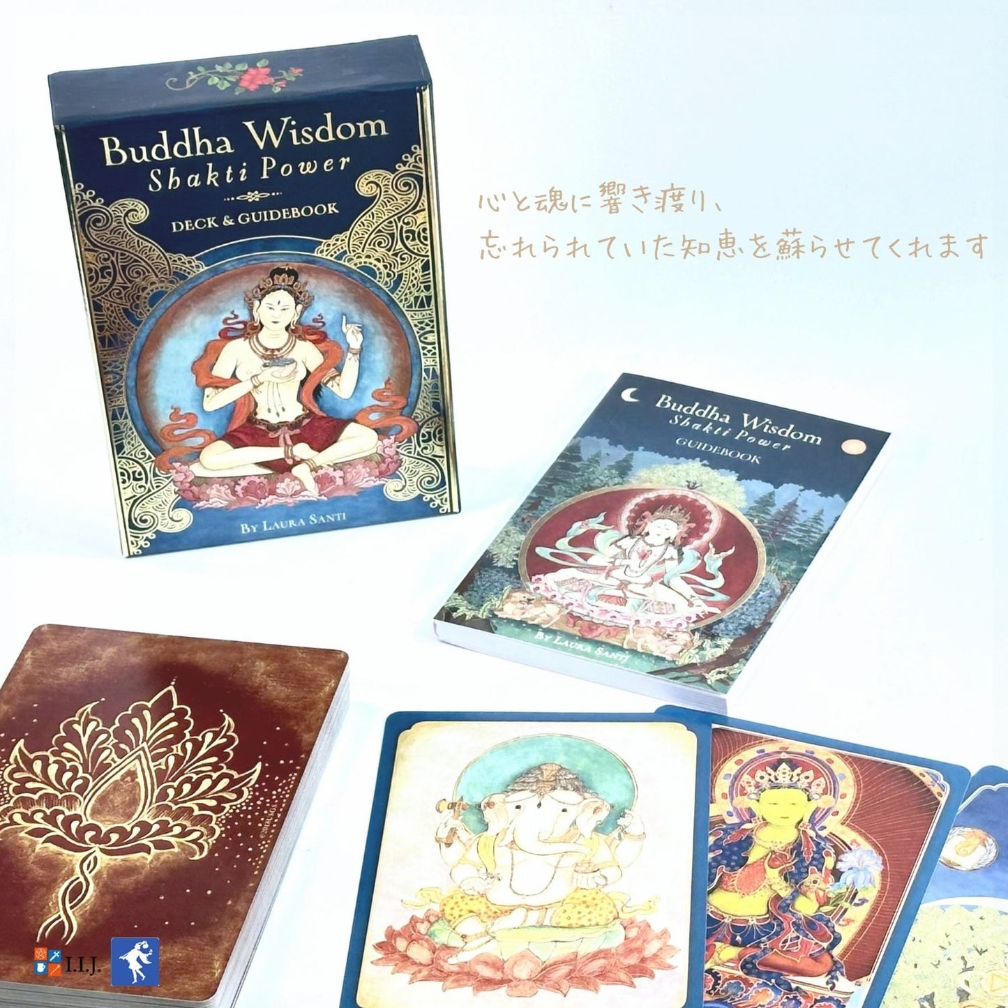 ブッダ・ウィズダム・シャクティ・パワー Buddha Wisdom Shakti Power