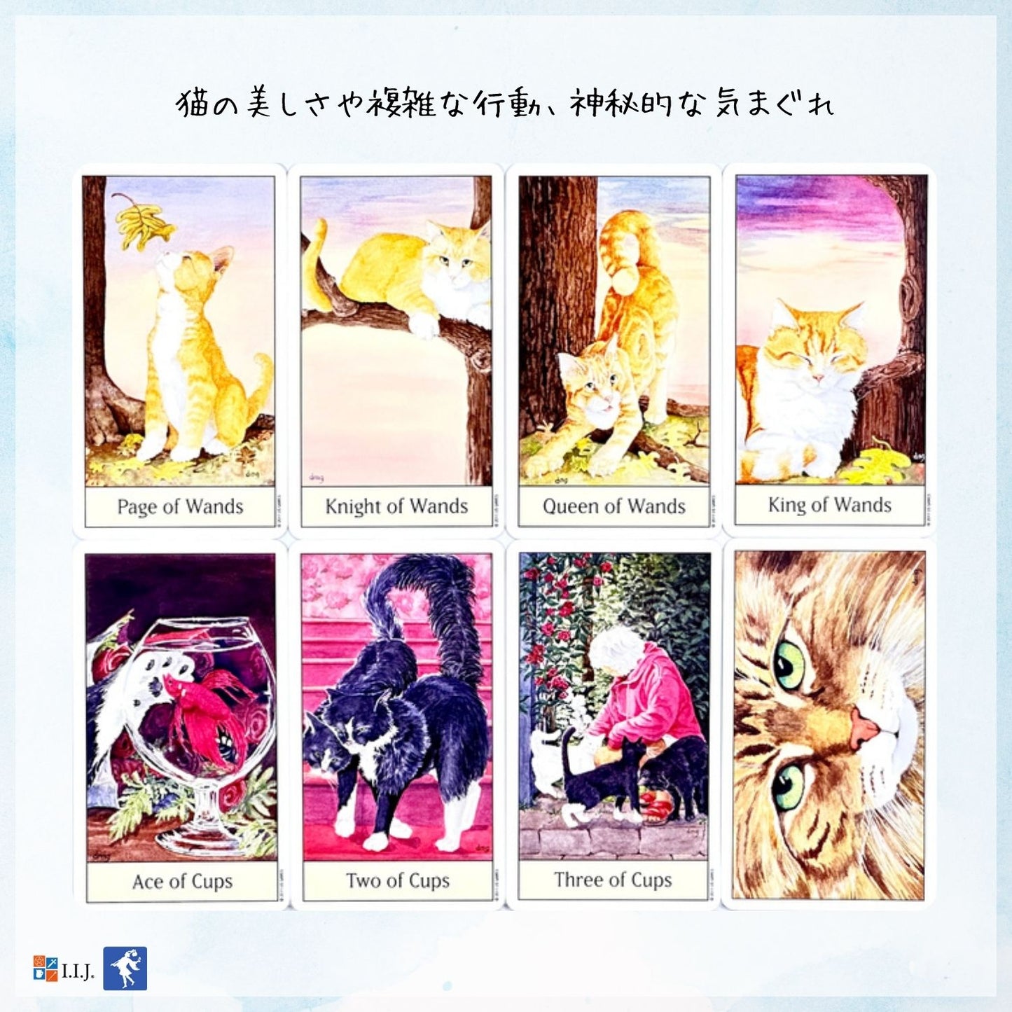 キャッツ・アイ・タロット Cat's Eye Tarot
