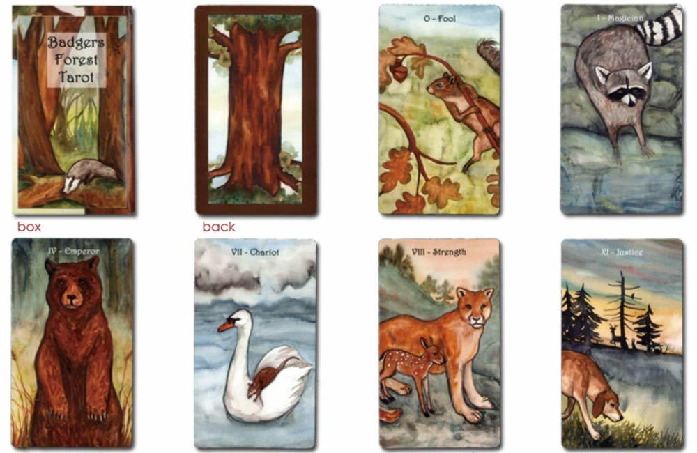 バッジャー・フォレスト・タロット Badgers Forest Tarot