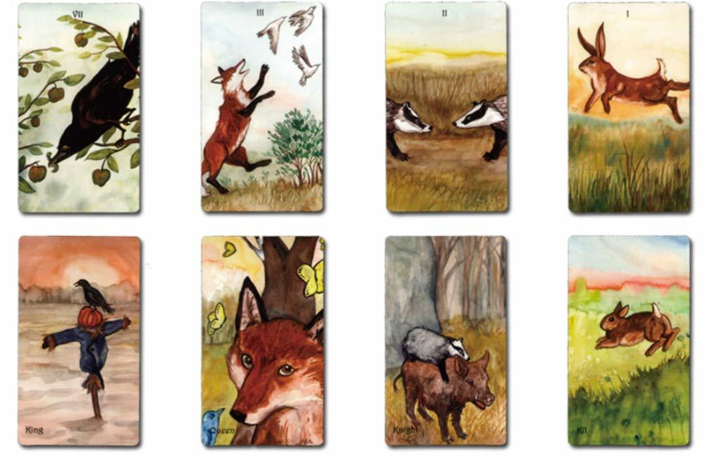 バッジャー・フォレスト・タロット Badgers Forest Tarot