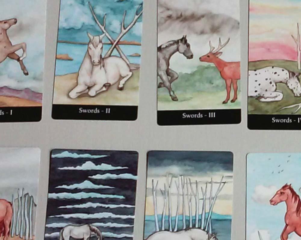 ライダーレス・タロット THE RIDERLESS TAROT