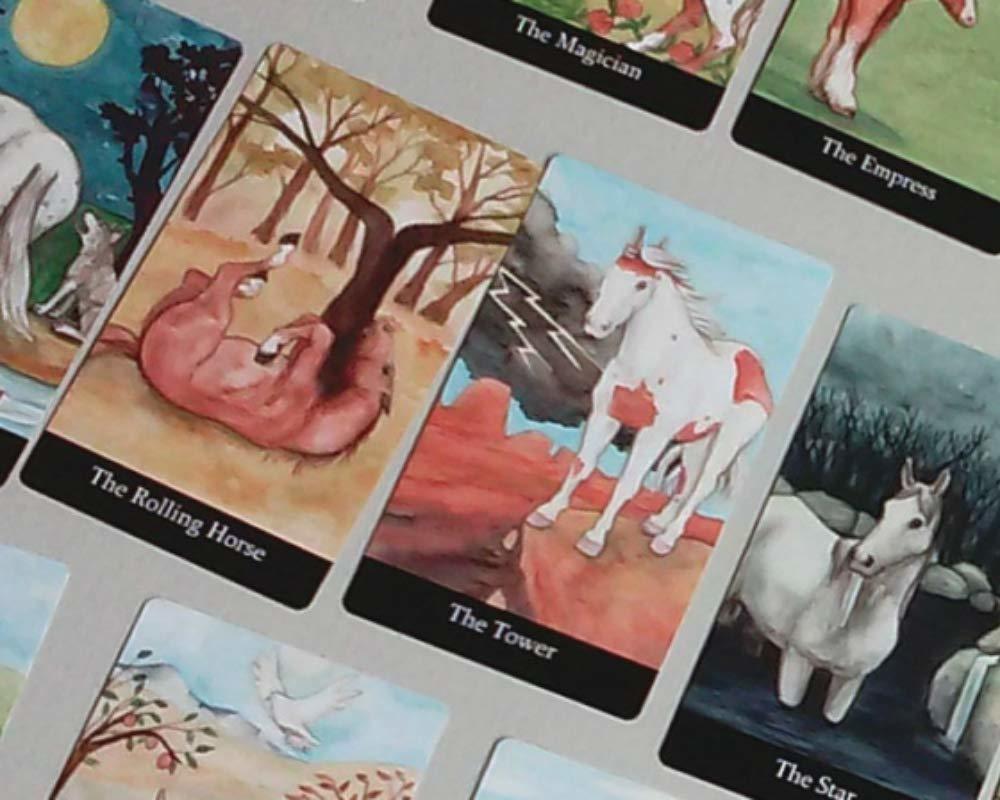 ライダーレス・タロット THE RIDERLESS TAROT