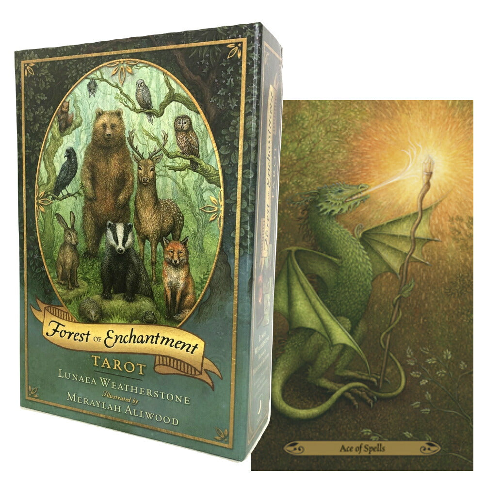 フォレスト オブ エンチャントメント タロット Forest of Enchantment Tarot