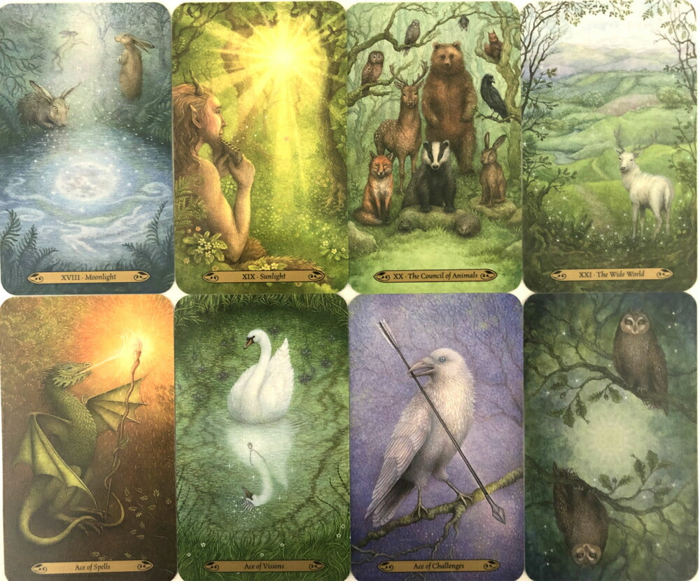 フォレスト オブ エンチャントメント タロット Forest of Enchantment Tarot