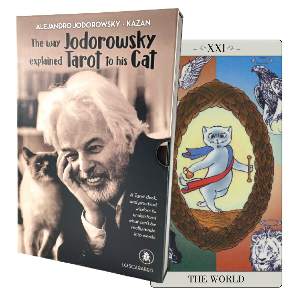 ホドロフスキー エクスプレイン タロット The Way Jodorowsky Explained Tarot to his Cat