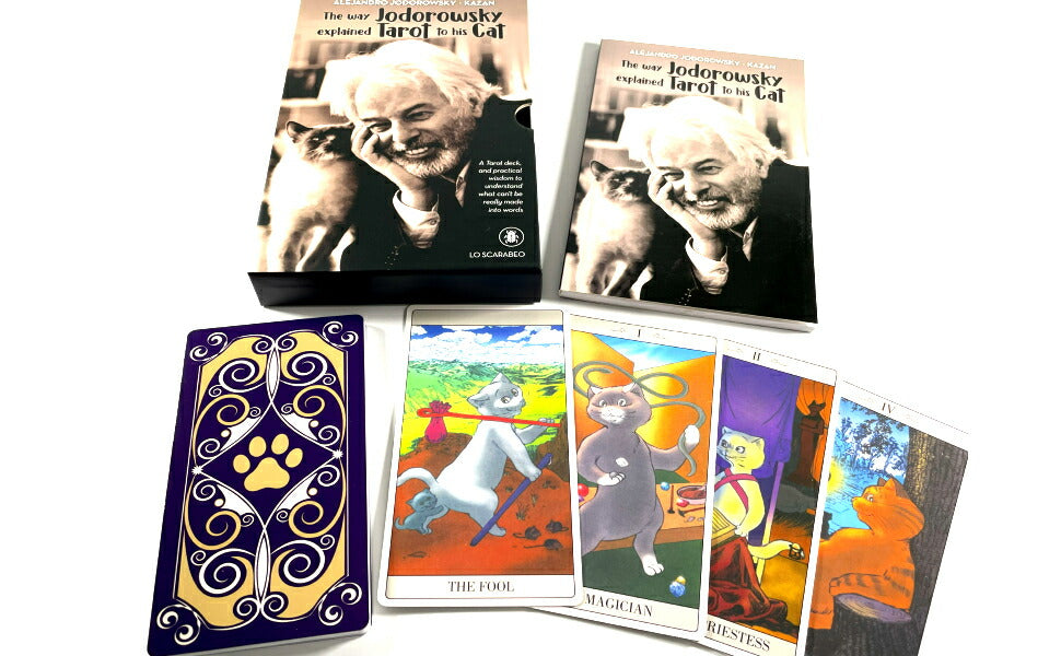 ホドロフスキー エクスプレイン タロット The Way Jodorowsky Explained Tarot to his Cat