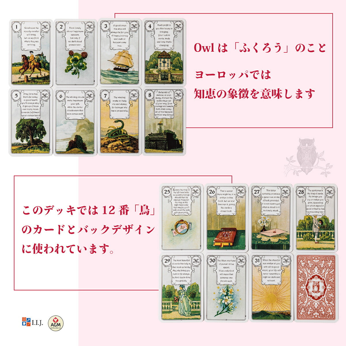 レッドオウル・ルノルマン Lenormand Red Owl