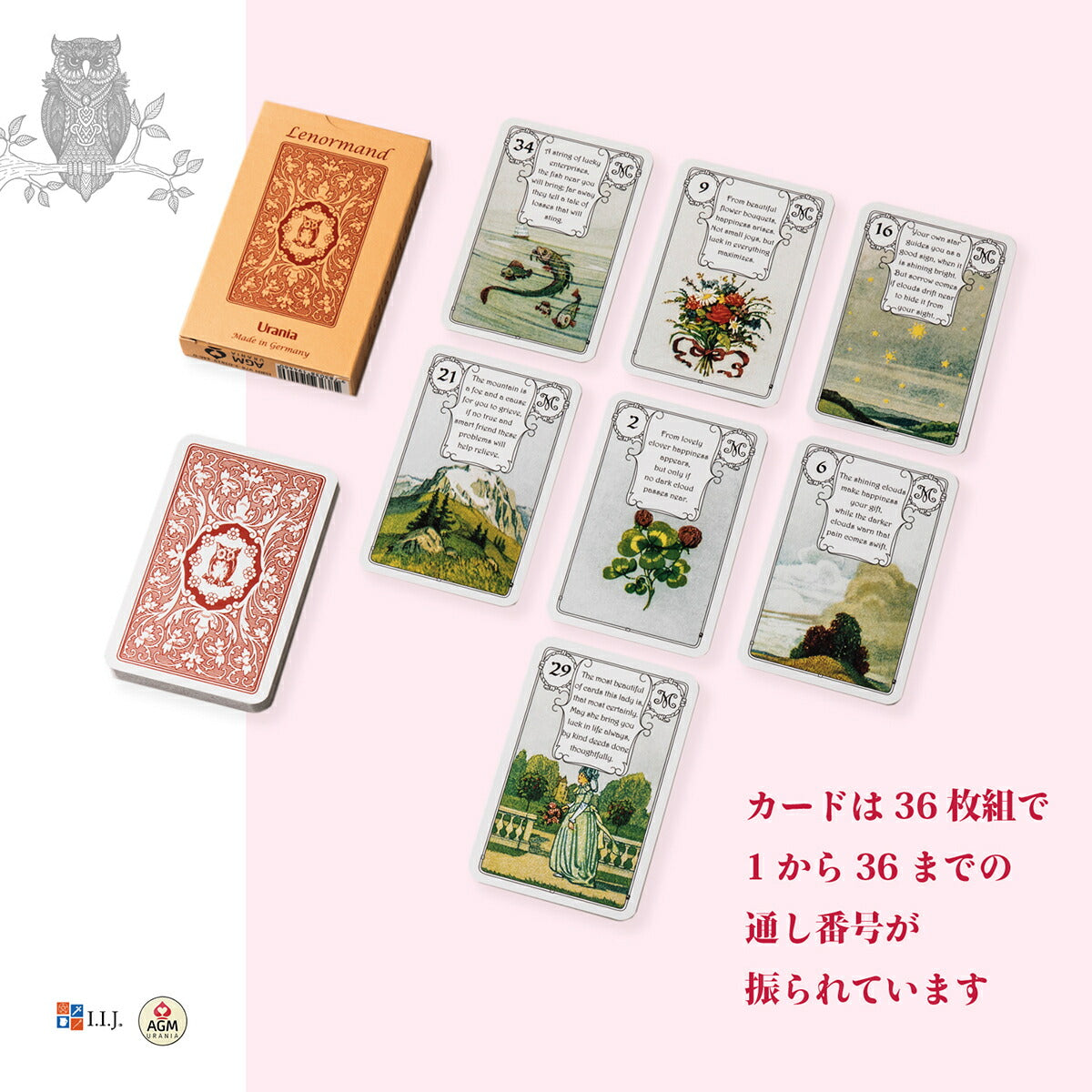 レッドオウル・ルノルマン Lenormand Red Owl
