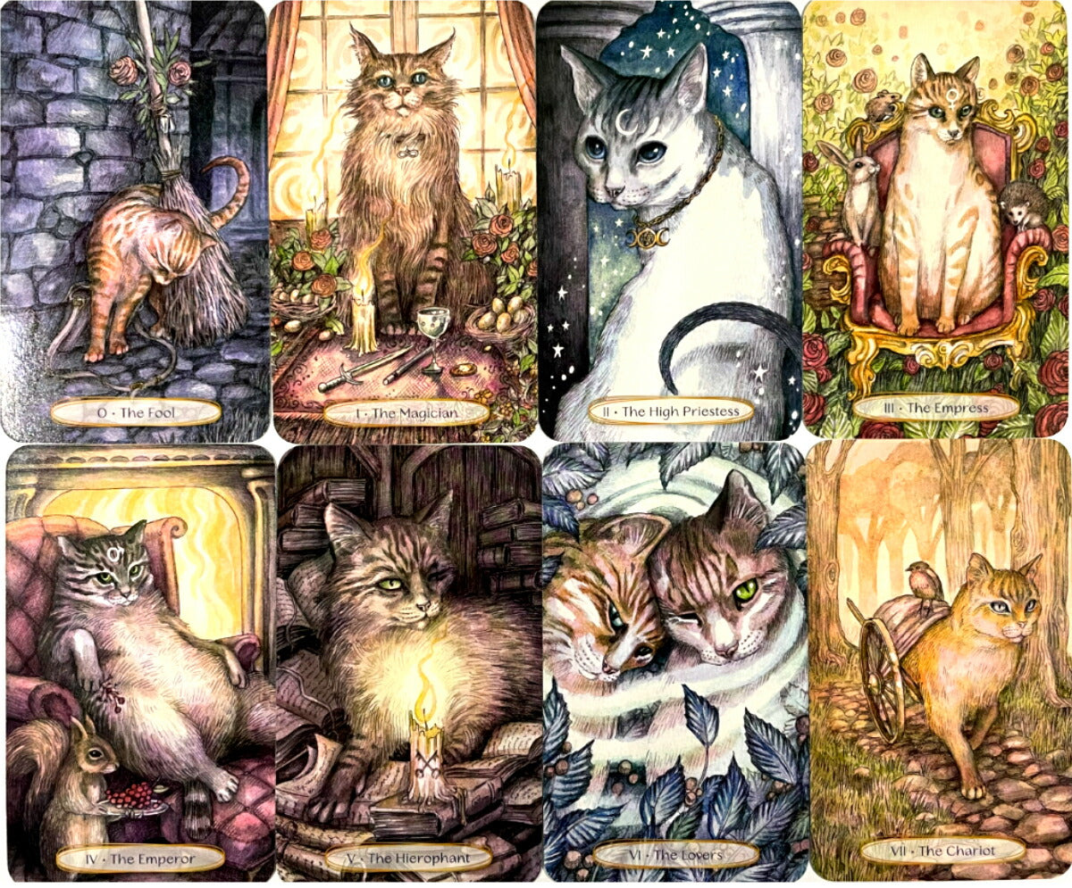 ソウル キャッツ タロット Soul Cats Tarot