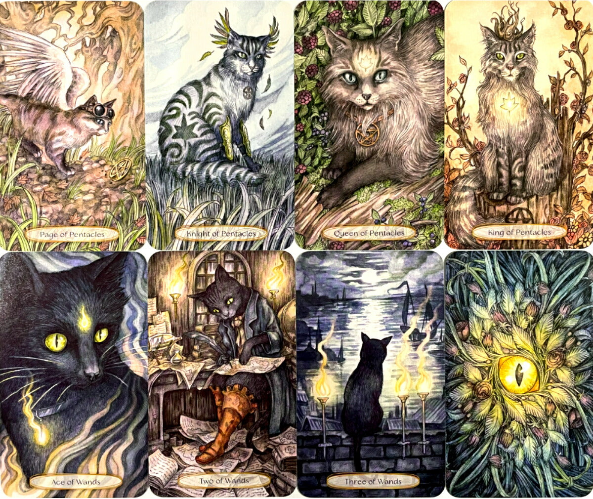 ソウル キャッツ タロット Soul Cats Tarot