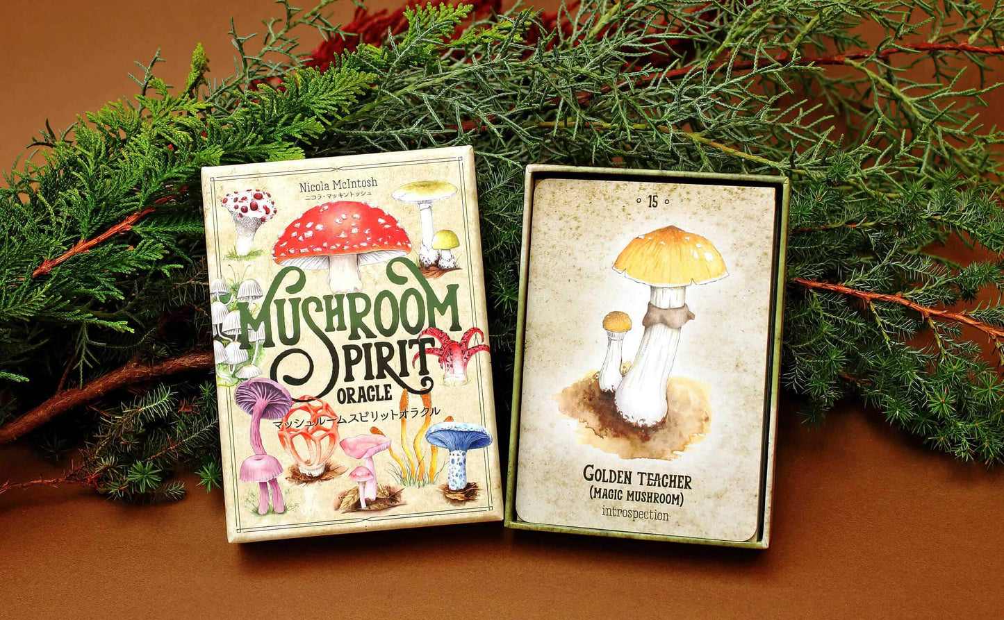 マッシュルーム スピリット オラクルカード