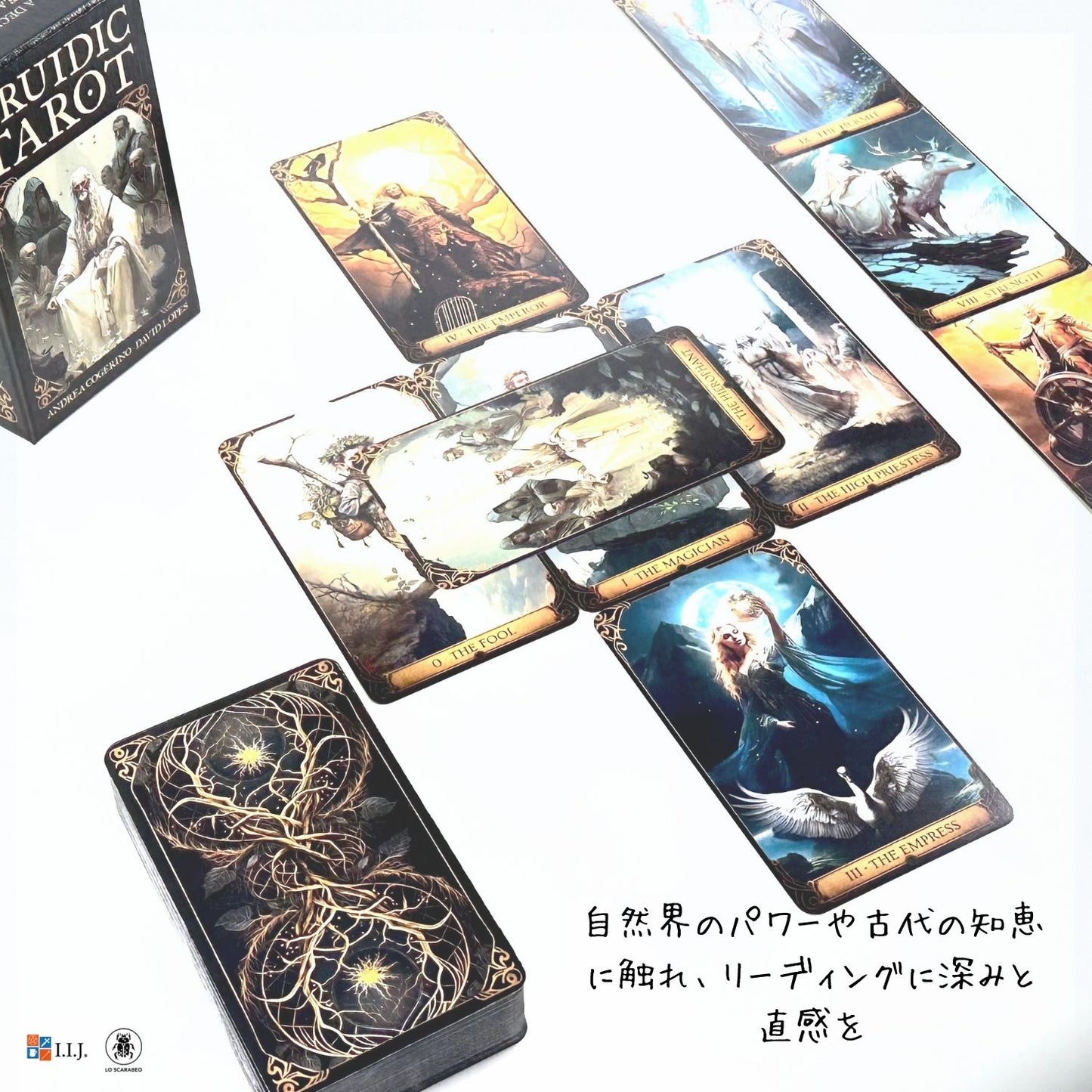 ドルイディク・タロット Druidic Tarot