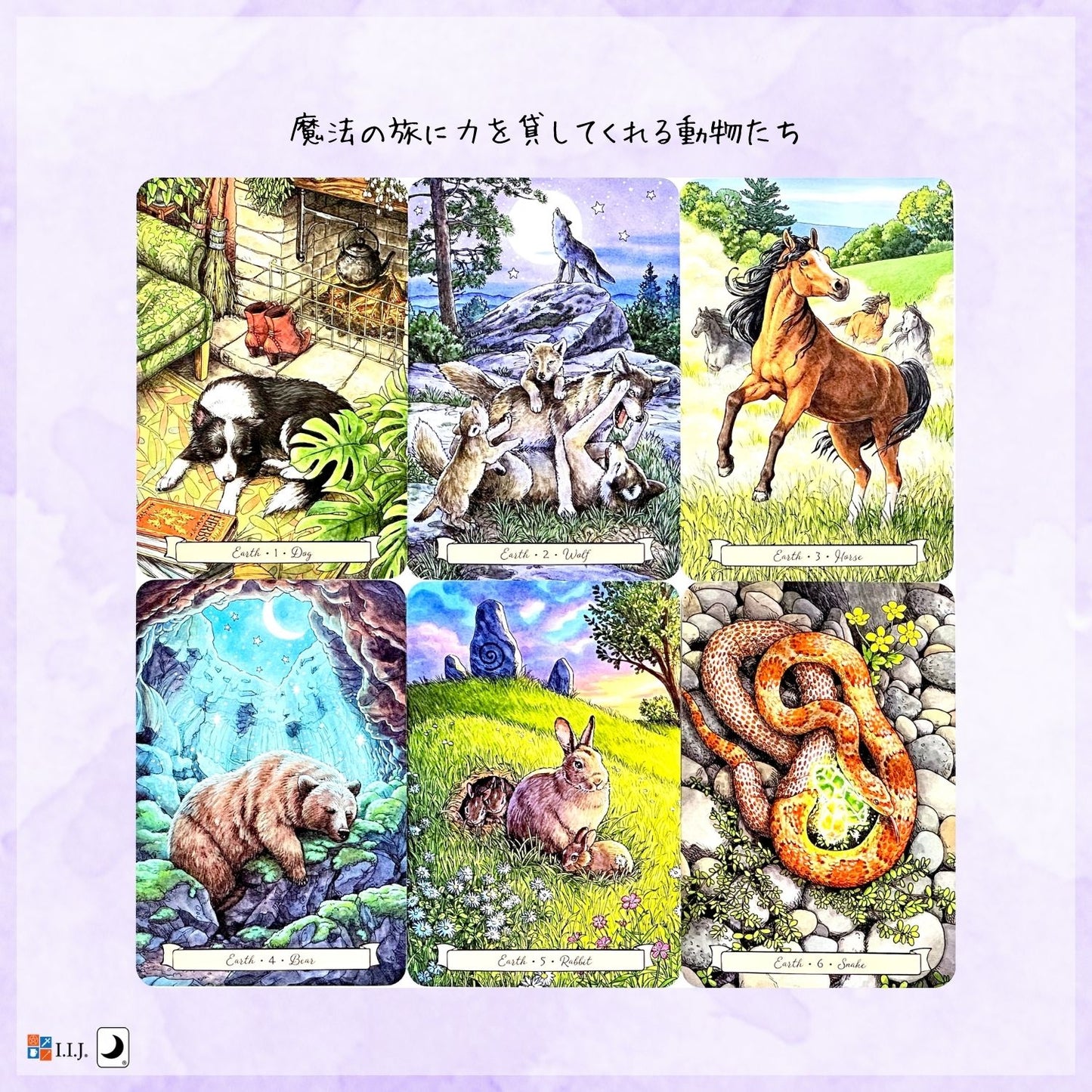 エブリデイ・ウィッチ・ファミリア・オラクル Everyday Witch's Familiars Oracle