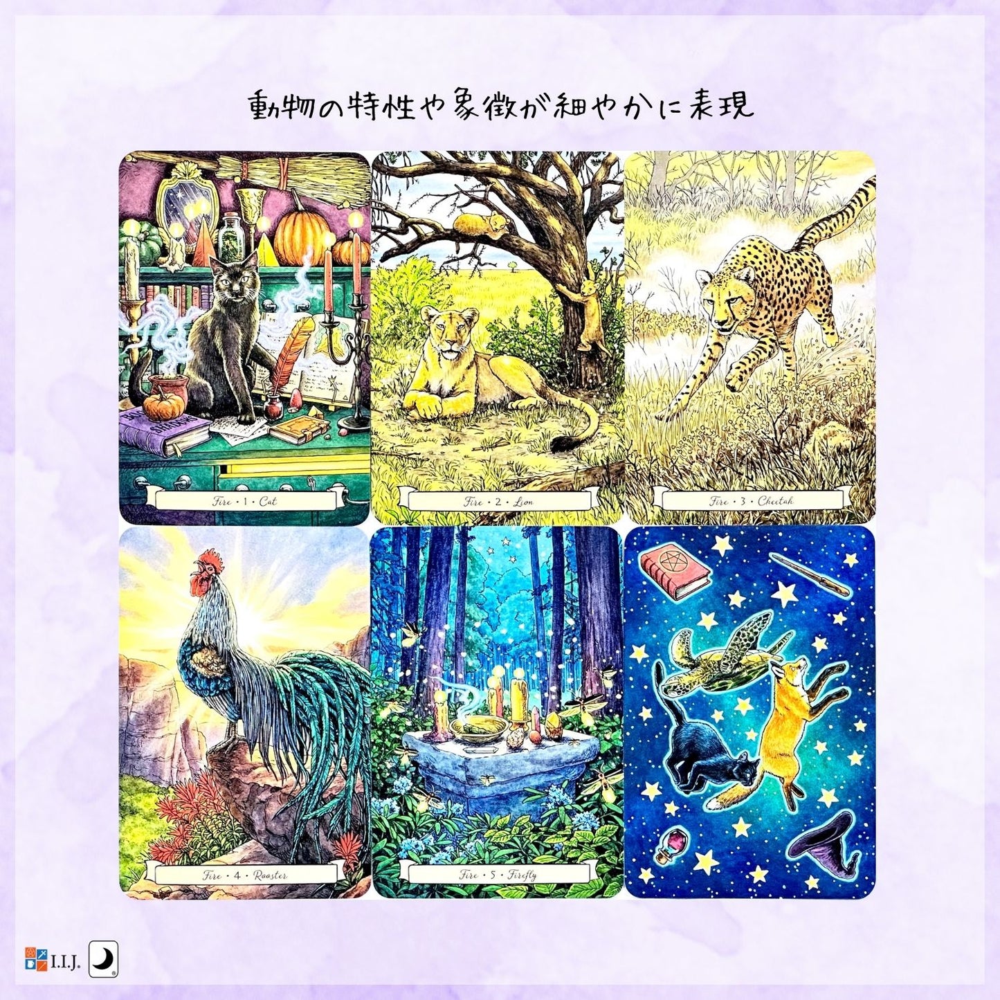 エブリデイ・ウィッチ・ファミリア・オラクル Everyday Witch's Familiars Oracle
