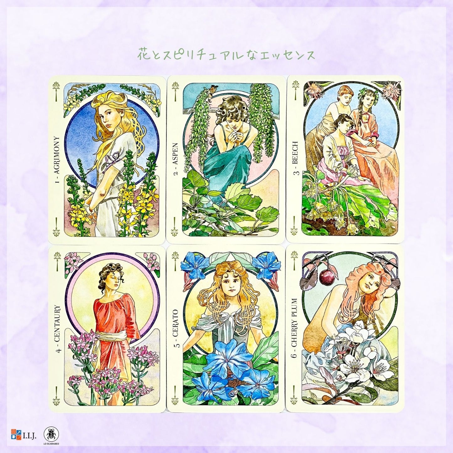 フラワー・オラクル Flowers Oracle