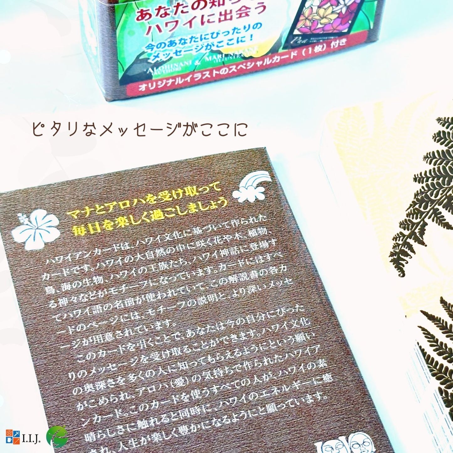 ハワイアン カード Hawaiian Cards