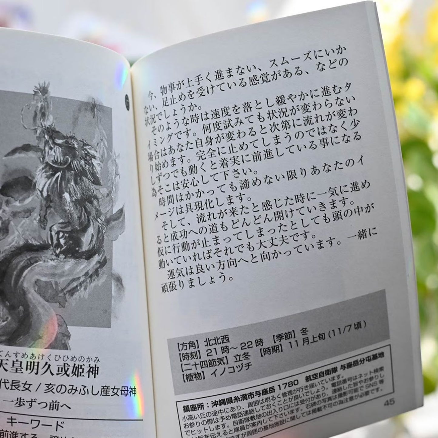 琉球干支龍カード(りゅうきゅうえとりゅう) Ryukyu Oriental Zodiac Dragon Cards 新装版