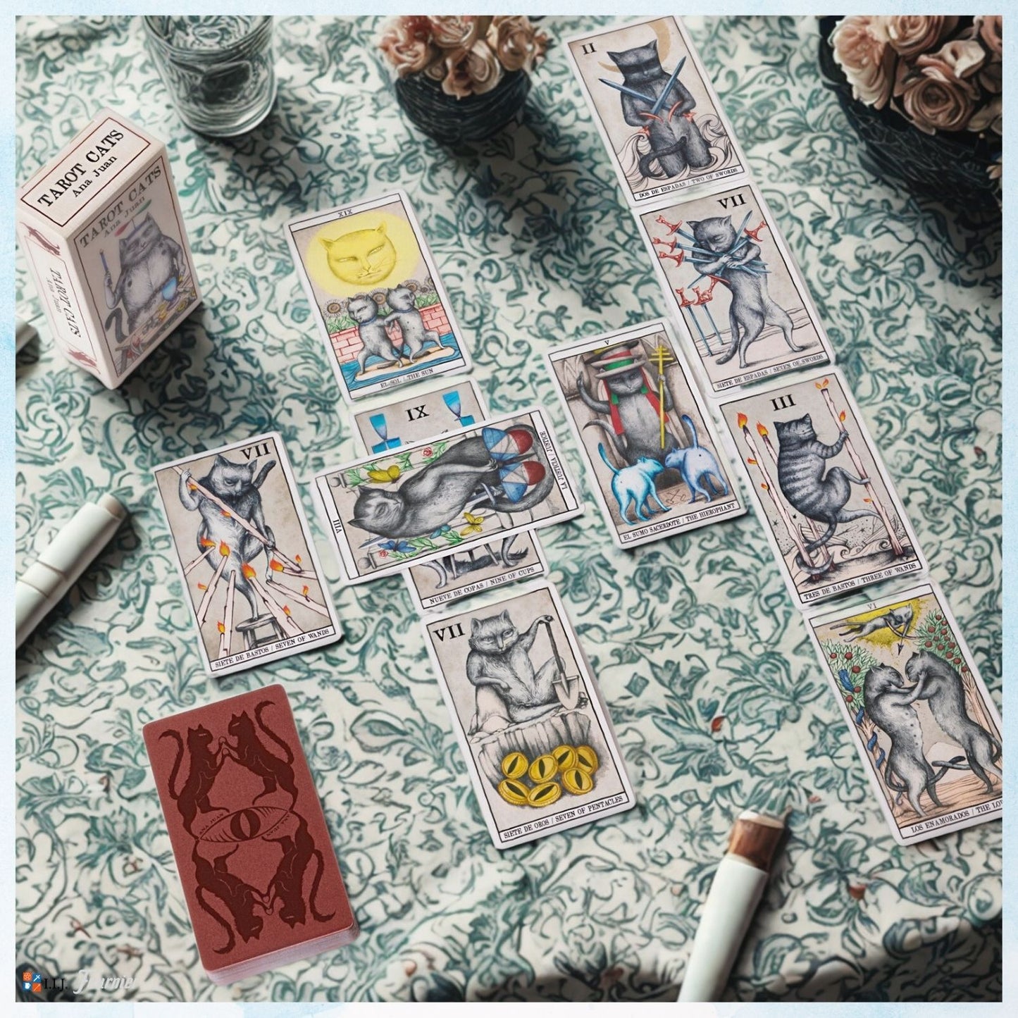 タロット キャッツ Tarot Cats