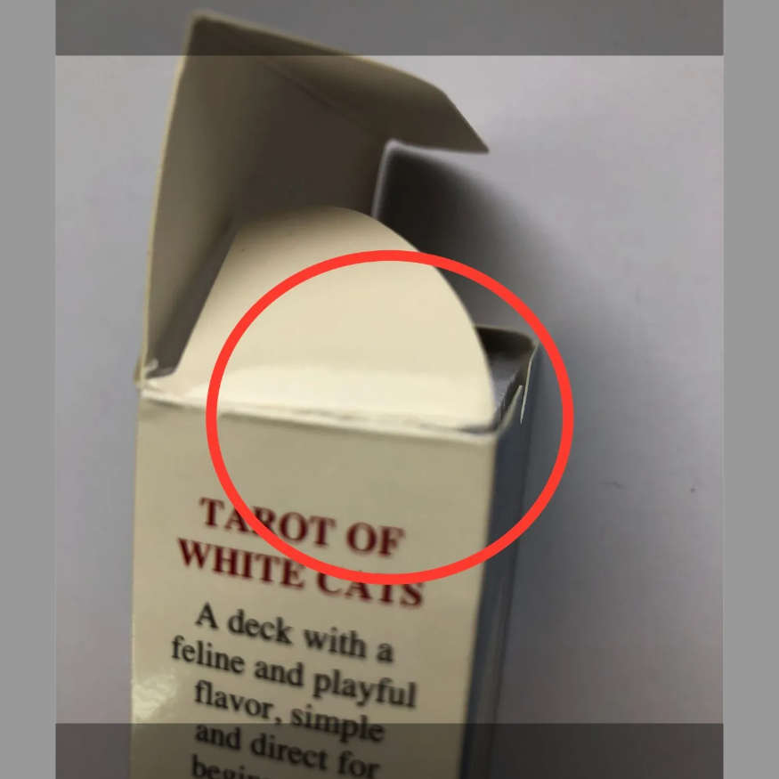 【アウトレット】 ホワイトキャッツ・タロット