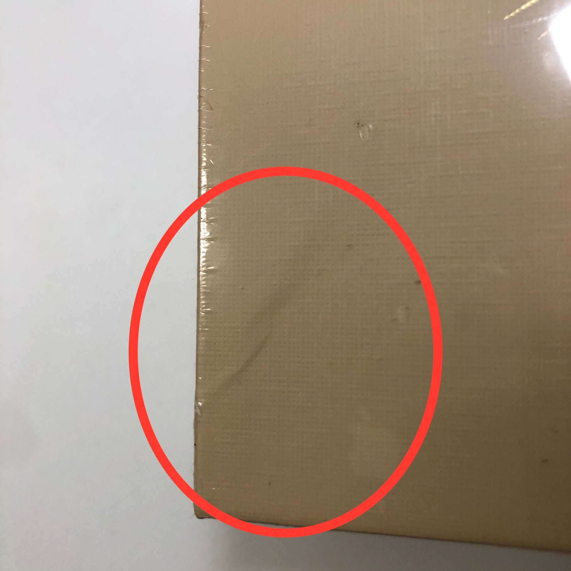 【アウトレット】 ルーシッド ドリームス ビギナーズ タロット エディション4　Lucid Dreams Beginners Tarot・Edition IV