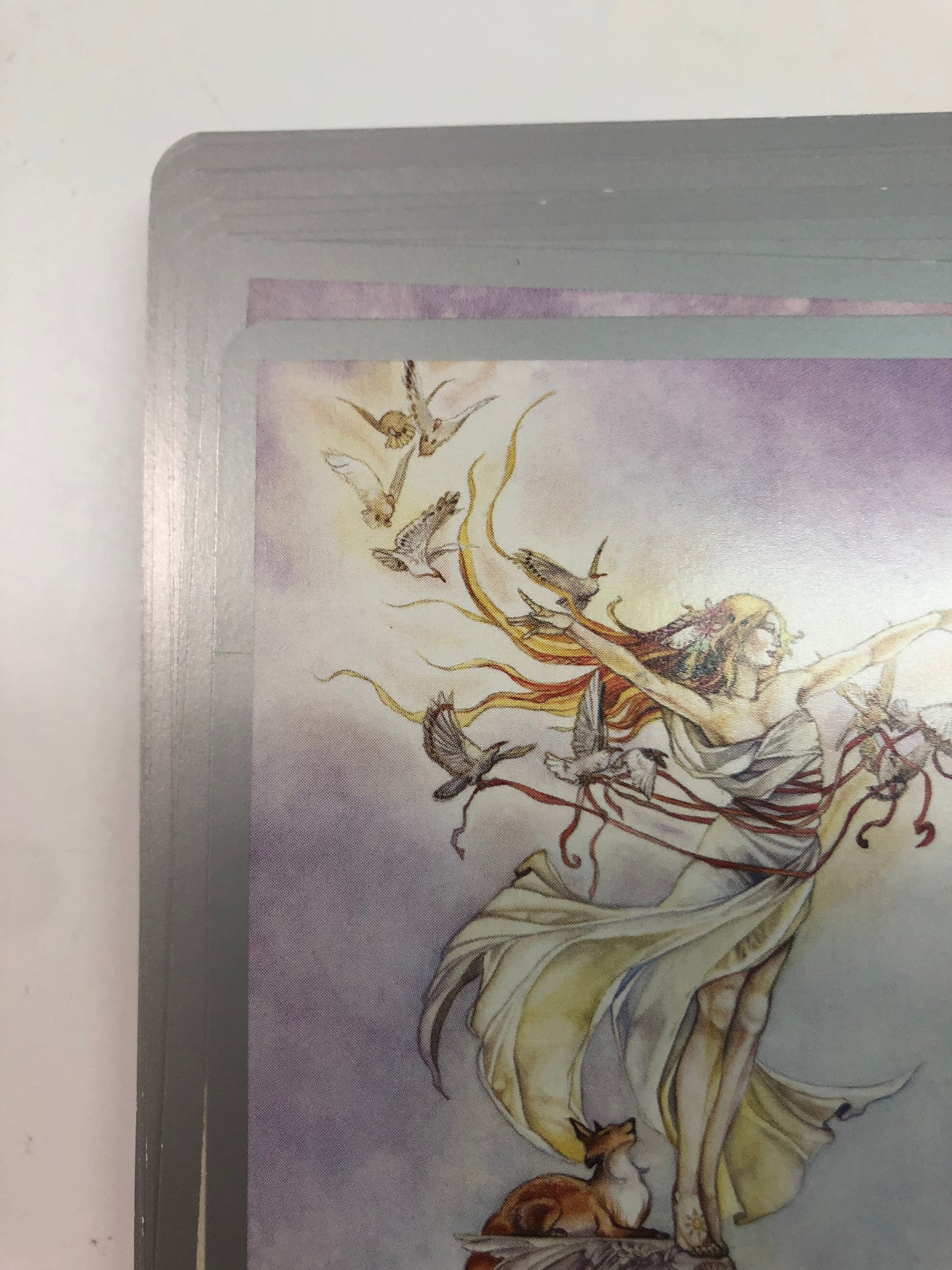 【アウトレット】シャドウスケープ・タロット・デッキ Shadowscapes Tarot Deck ウェイト版 78枚 タロット占い 日本語解説書付き 正規品