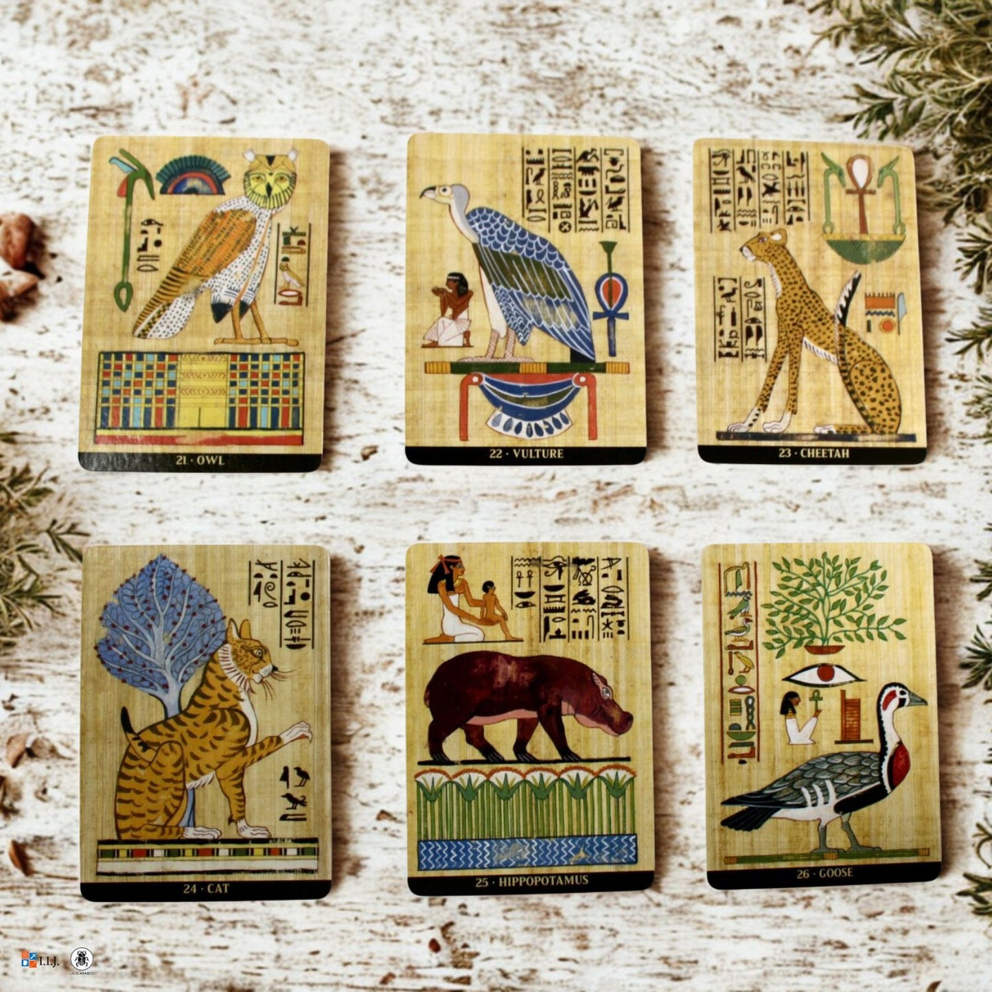 エジプシャン・セイクリッド・アニマルズ・オラクル Egyptian Sacred Animals Oracle