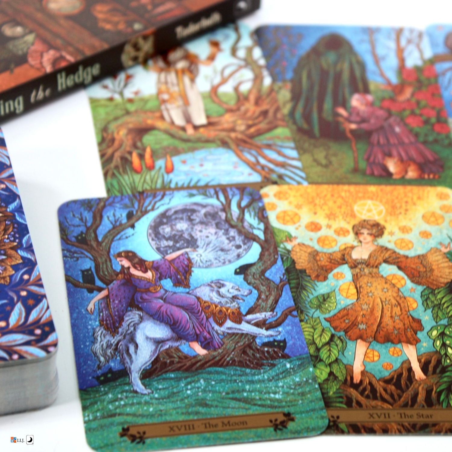 ヘッジウィッチ・タロット The Hedgewitch Tarot