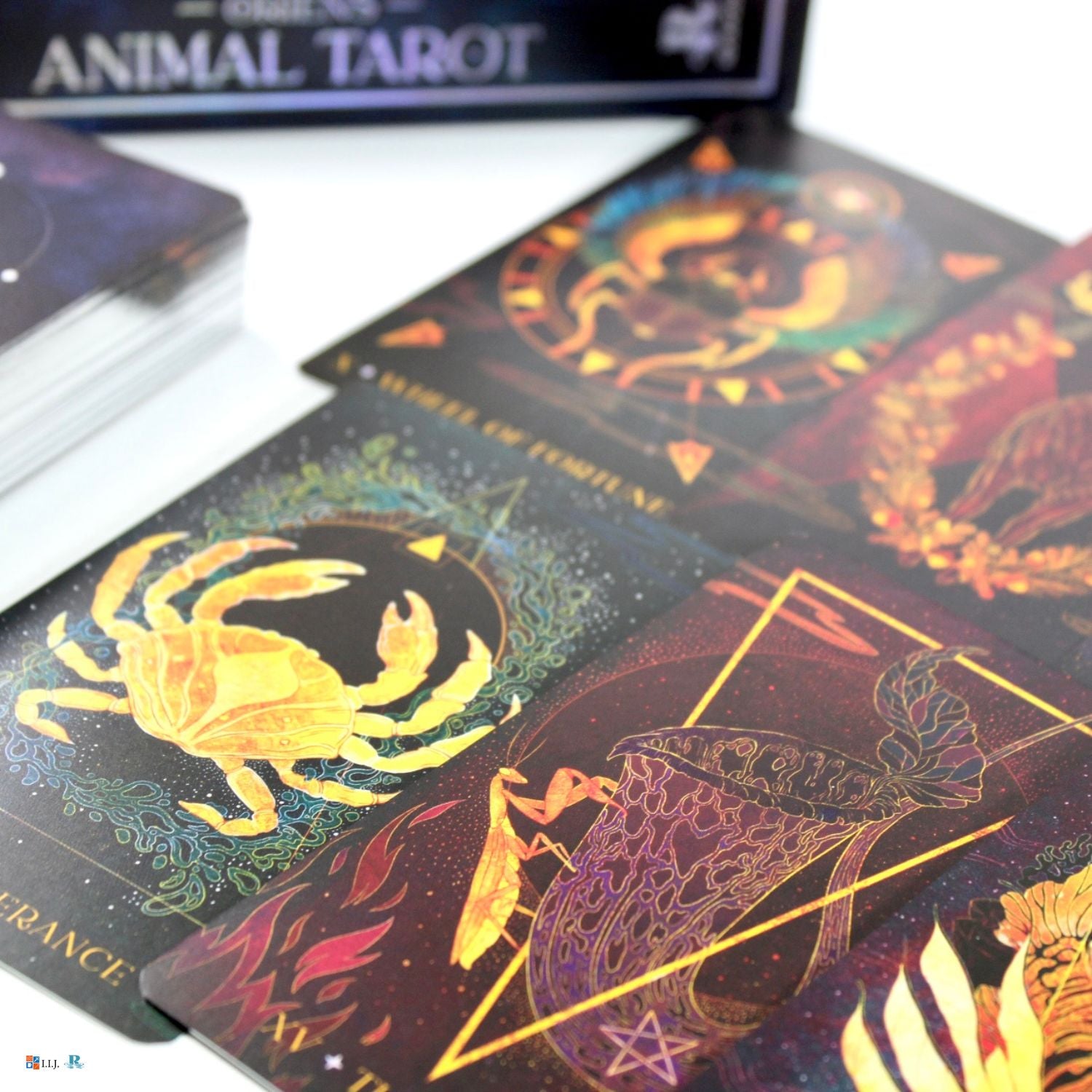 オリエンス・アニマル・タロット Oriens Animal Tarot