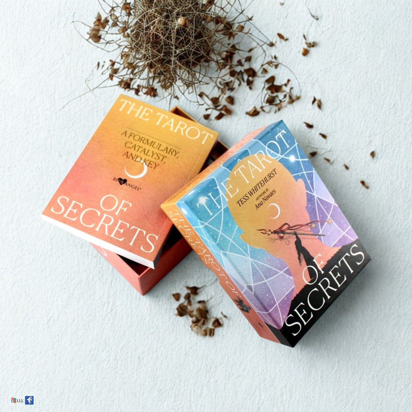 タロット・オブ・シークレッツ The Tarot of Secrets
